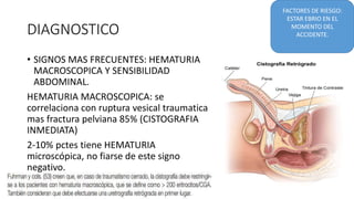 DIAGNOSTICO
• SIGNOS MAS FRECUENTES: HEMATURIA
MACROSCOPICA Y SENSIBILIDAD
ABDOMINAL.
HEMATURIA MACROSCOPICA: se
correlaciona con ruptura vesical traumatica
mas fractura pelviana 85% (CISTOGRAFIA
INMEDIATA)
2-10% pctes tiene HEMATURIA
microscópica, no fiarse de este signo
negativo.
FACTORES DE RIESGO:
ESTAR EBRIO EN EL
MOMENTO DEL
ACCIDENTE.
 