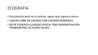 ECOGRAFIA
• Esta descrito pero no es optimo, signos que sugieren rotura:
• LIQUIDO LIBRE EN CAVIDAD CON VISCERAS NORMALES.
• NO SE EVIDENCIA LLENADO VESICAL TRAS ADMINISTRACION
TRANSURETRAL DE SUERO SALINO.
 