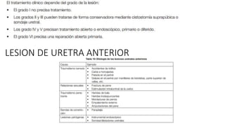 LESION DE URETRA ANTERIOR
• L
 
