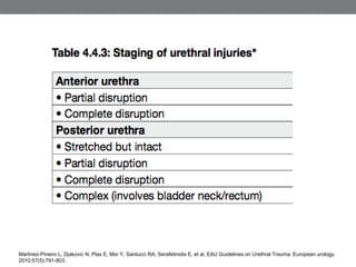 Urethral Trauma | PPTX