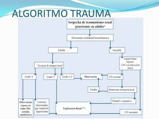 TRATAMIENTOIndicaciones para el tratamiento quirúrgico se incluyen: inestabilidad hemodinámica, hematoma perirrenal expansivo o pulsátil, avulsión de la arteria renal principal la trombosis en un único riñón .CONSERVADOR