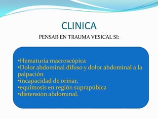 TRAUMATISMOS  II
