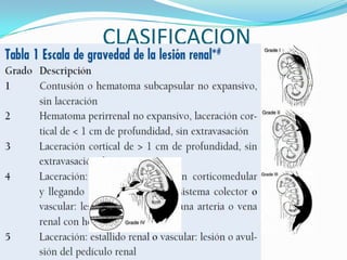 TRAUMATISMO RENALLas lesiones renales representan entre el 1% y el 5% de los traumatismos.Mas frecuente de órganos genitourinarios.Modo de lesiónCerradoContacto directoDesaceleración bruscaPenetrante RURAL90% cerradosURBANOMas del 20% abiertos