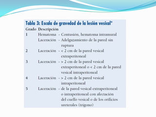 incapacidad de orinar,