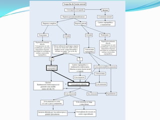 PENSAR EL LESION URETRALTRAUMATISMO DE PELVIS 