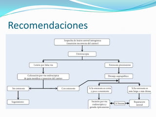 URETRORRAGIA: la cantidad no relacionada a gravedad