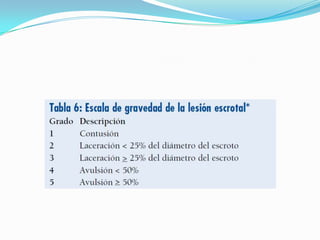 TRAUMATISMO  GENITALUn golpe directo en el pene en erección puede causar fractura de pene. El traumatismo cerrado del escroto puede provocar dislocación testicular, ruptura testicular y/o hematoma escrotalsubcutáneo.La dislocación traumática del testículo se produce principalmente en víctimas de accidente de coche o de moto, o en peatones a los que les ha atropellado un vehículo. Se produce ruptura testicular aproximadamente en el 50% de los traumatismos cerrados directos en el escroto.El traumatismo penetrante en los genitales externos vieneacompañado frecuentemente de lesiones en otros órganos.