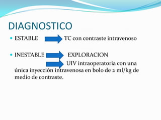MENSAJE PARA RECORDARLA HEMATURIA NO ES SIGNO DE GRAVEDADLA AUSENCIA DE HEMATURIA NO EXCLUYE EL Dg DE TxLOS MAS GRAVES GRALMENTE SIN HEMATURIA
