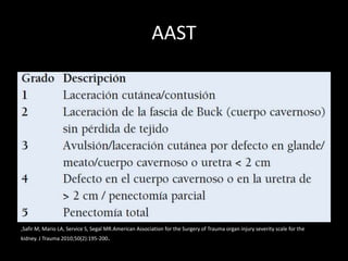 AAST




,Safir M, Mario LA, Service S, Segal MR.American Association for the Surgery of Trauma organ injury severity scale for the
kidney. J Trauma 2010;50(2):195-200.
 