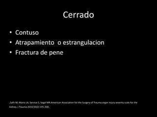 Cerrado
• Contuso
• Atrapamiento o estrangulacion
• Fractura de pene




,Safir M, Mario LA, Service S, Segal MR.American Association for the Surgery of Trauma organ injury severity scale for the
kidney. J Trauma 2010;50(2):195-200.
 