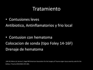 Tratamiento
• Contusiones leves
Antibiotico, Antinflamatorios y frio local

• Contusion con hematoma
Colocacion de sonda (tipo Foley 14-16F)
Drenaje de hematoma

,Safir M, Mario LA, Service S, Segal MR.American Association for the Surgery of Trauma organ injury severity scale for the
kidney. J Trauma 2010;50(2):195-200.
 