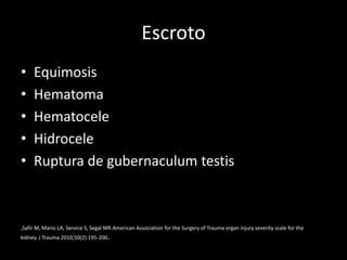 Escroto
•    Equimosis
•    Hematoma
•    Hematocele
•    Hidrocele
•    Ruptura de gubernaculum testis



,Safir M, Mario LA, Service S, Segal MR.American Association for the Surgery of Trauma organ injury severity scale for the
kidney. J Trauma 2010;50(2):195-200.
 