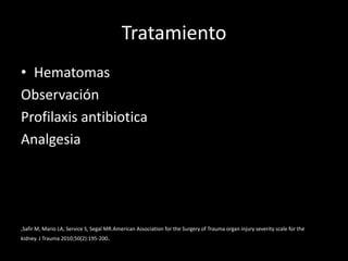 Tratamiento
• Hematomas
Observación
Profilaxis antibiotica
Analgesia




,Safir M, Mario LA, Service S, Segal MR.American Association for the Surgery of Trauma organ injury severity scale for the
kidney. J Trauma 2010;50(2):195-200.
 