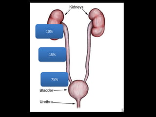 10%




 15%




  75%
 