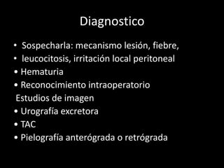 Diagnostico
• Sospecharla: mecanismo lesión, fiebre,
• leucocitosis, irritación local peritoneal
• Hematuria
• Reconocimiento intraoperatorio
 Estudios de imagen
• Urografía excretora
• TAC
• Pielografía anterógrada o retrógrada
 