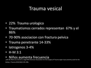 Trauma vesical

• 22% Trauma urologico
• Traumatismos cerrados representan 67% y el
  86%
• 70-90% asociacion con fractura pelvica
• Trauma penetrante 14-33%
• Iatrogenos 3-4%
• H-M 3:1
• Niños aumenta frecuencia
,Safir M, Mario LA, Service S, Segal MR.American Association for the Surgery of Trauma organ injury severity scale for the
kidney. J Trauma 2010;50(2):195-200.
 