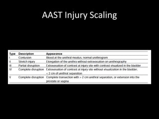 AAST Injury Scaling
 