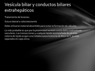 Tratamiento de lesiones:
Sutura lateral o colecistectomía
Debe utilizarse material absorbible para evitar la formación de cálculos.
Lo más probable es que por la proximidad también exista daño a estructuras
vasculares. Las transecciones y cualquier lesión acompañada de pérdida
notoria de tejido exigen una Coledocoyeyunostomía de Roux enY. puntos
separados en capa única.
Vesícula biliar y conductos biliares
extrahepáticos
 