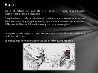 Según el estado del paciente y el daño se realiza: Esplenorrafia,
esplenectomía parcial o resección.
Complicación secundaria a esplenmectomía (rara y más frecuente en niños)
Infección siderante posesplenectomía, secundaria a bacterias encapsuladas.
S. Neumonie, Haemophilus influenzae y Neisseria meningitidis.
La esplenectomía requiere cortar las inserciones entre el bazo y la flexura
esplénica del colon.
Se emplean los mismos métodos que con el parénquima hepático.
Bazo
 