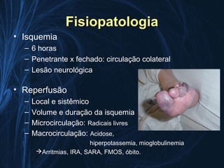 Fisiopatologia
• Isquemia
  – 6 horas
  – Penetrante x fechado: circulação colateral
  – Lesão neurológica

• Reperfusão
  –   Local e sistêmico
  –   Volume e duração da isquemia
  –   Microcirculação: Radicais livres
  –   Macrocirculação: Acidose,
                         hiperpotassemia, mioglobulinemia
       Arritmias, IRA, SARA, FMOS, óbito.
 