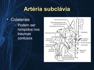 Artéria subclávia
• Colaterais
    – Podem ser
      rompidos nos
      traumas
      contusos
 