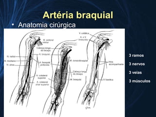 Artéria braquial
• Anatomia cirúrgica



                            3 ramos

                            3 nervos

                            3 veias

                            3 músculos
 