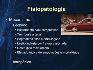 Fisiopatologia
• Mecanismo
  – Fechado
    •   Estiramento e/ou compressão
    •   Trombose arterial
    •   Segmentos fixos e articulações
    •   Lesão indireta por fratura associada
    •   Destruição mais ampla
    •   Elevado índice de amputações e mortalidade


  – Iatrogênico
 