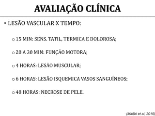 AVALIAÇÃO CLÍNICA
• LESÃO VASCULAR X TEMPO:
o15 MIN: SENS. TATIL, TERMICA E DOLOROSA;
o 20 A 30 MIN: FUNÇÃO MOTORA;
o4 HORAS: LESÃO MUSCULAR;
o 6 HORAS: LESÃO ISQUEMICA VASOS SANGUÍNEOS;
o48 HORAS: NECROSE DE PELE.
(Maffei et al, 2015)
 