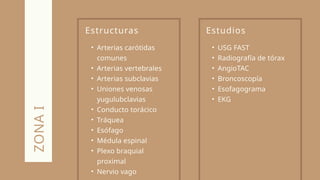 Estructuras
• Arterias carótidas
comunes
• Arterias vertebrales
• Arterias subclavias
• Uniones venosas
yugulubclavias
• Conducto torácico
• Tráquea
• Esófago
• Médula espinal
• Plexo braquial
proximal
• Nervio vago
ZONA
I
Estudios
• USG FAST
• Radiografía de tórax
• AngioTAC
• Broncoscopía
• Esofagograma
• EKG
 