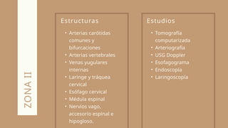 Estructuras
• Arterias carótidas
comunes y
bifurcaciones
• Arterias vertebrales
• Venas yugulares
internas
• Laringe y tráquea
cervical
• Esófago cervical
• Médula espinal
• Nervios vago,
accesorio espinal e
hipogloso.
ZONA
II
Estudios
• Tomografía
computarizada
• Arteriografía
• USG Doppler
• Esofagograma
• Endoscopía
• Laringoscopía
 