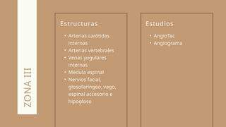 Estructuras
• Arterias carótidas
internas
• Arterias vertebrales
• Venas yugulares
internas
• Médula espinal
• Nervios facial,
glosofaríngeo, vago,
espinal accesorio e
hipogloso
ZONA
III
Estudios
• AngioTac
• Angiograma
 