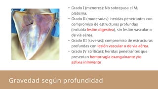 Gravedad según profundidad
• Grado I (menores): No sobrepasa el M.
platisma.
• Grado II (moderadas): heridas penetrantes con
compromiso de estructuras profundas
(incluida lesión digestiva), sin lesión vascular o
de vía aérea.
• Grado III (severas): compromiso de estructuras
profundas con lesión vascular o de vía aérea.
• Grado IV (críticas): heridas penetrantes que
presentan hemorragia exanguinante y/o
asfixia inminente
 