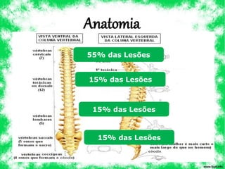 Anatomia
55% das Lesões
15% das Lesões
15% das Lesões
15% das Lesões
 
