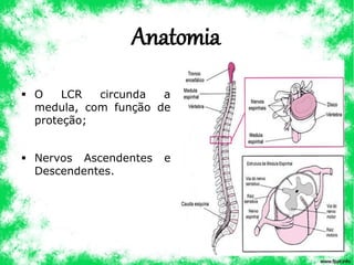 Anatomia
▪ O LCR circunda a
medula, com função de
proteção;
▪ Nervos Ascendentes e
Descendentes.
 