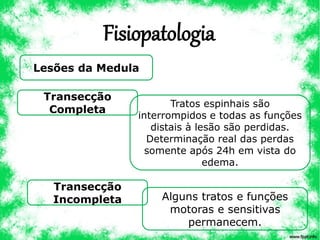 Fisiopatologia
Lesões da Medula
Transecção
Completa
Transecção
Incompleta
Tratos espinhais são
interrompidos e todas as funções
distais à lesão são perdidas.
Determinação real das perdas
somente após 24h em vista do
edema.
Alguns tratos e funções
motoras e sensitivas
permanecem.
 