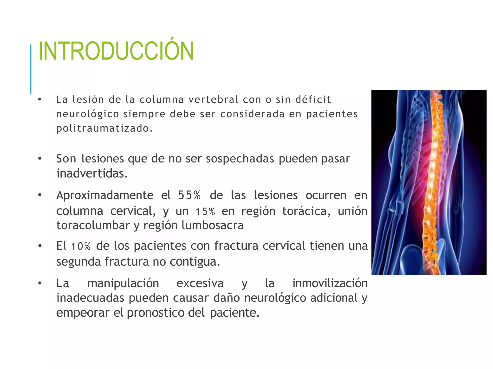 Vertebrogram TRAUMA VERTEBRO MEDULAR.pptx | Death, Injury, or Military Conflict ...