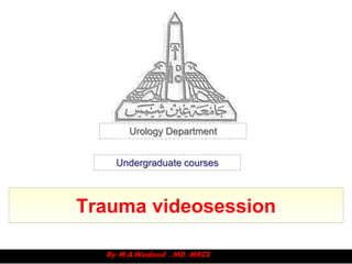 Urology Department


   Undergraduate courses



Trauma videosession
 