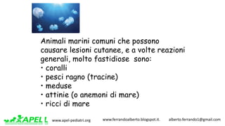 www.apel-pediatri.org www.ferrandoalberto.blogspot.it.									alberto.ferrando1@gmail.com
Animali marini comuni che possono
causare lesioni cutanee, e a volte reazioni
generali, molto fastidiose sono:
• coralli
• pesci ragno (tracine)
• meduse
• attinie (o anemoni di mare)
• ricci di mare
 