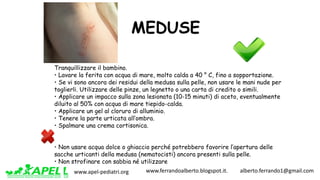 www.apel-pediatri.org www.ferrandoalberto.blogspot.it.									alberto.ferrando1@gmail.com
Tranquillizzare il bambino.
• Lavare la ferita con acqua di mare, molto calda a 40 ° C, fino a sopportazione.
• Se vi sono ancora dei residui della medusa sulla pelle, non usare le mani nude per
toglierli. Utilizzare delle pinze, un legnetto o una carta di credito o simili.
• Applicare un impacco sulla zona lesionata (10-15 minuti) di aceto, eventualmente
diluito al 50% con acqua di mare tiepido-calda.
• Applicare un gel al cloruro di alluminio.
• Tenere la parte urticata all’ombra.
• Spalmare una crema cortisonica.
• Non usare acqua dolce o ghiaccio perché potrebbero favorire l’apertura delle
sacche urticanti della medusa (nematocisti) ancora presenti sulla pelle.
• Non strofinare con sabbia né utilizzare
MEDUSE
 