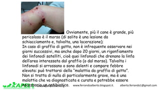 www.apel-pediatri.org www.ferrandoalberto.blogspot.it.									alberto.ferrando1@gmail.com
Ogni	anno	
Ovviamente, più il cane è grande, più
pericoloso è il morso (di solito è una lesione da
schiacciamento e, talvolta, una lacerazione);
In caso di graffio di gatto, non è infrequente osservare nei
giorni successivi, ma anche dopo 20 giorni, un rigonfiamento
dei linfonodi satelliti, cioè quei linfonodi che drenano la linfa
dell’area interessata dal graffio (o dal morso). Talvolta i
linfonodi si arrossano o sono dolenti e compare febbre
elevata: può trattarsi della “malattia da graffio di gatto”.
Non si tratta di nulla di particolarmente grave, ma è una
malattia che va diagnosticata e curata e potrebbe essere
necessario un antibiotico.
 
