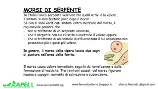 www.apel-pediatri.org www.ferrandoalberto.blogspot.it.									alberto.ferrando1@gmail.com
MORSI DI SERPENTE
In Italia l’unico serpente velenoso tra quelli nativi è la vipera .
I sintomi si manifestano poco dopo il morso.
Se non si sono verificati sintomi entro mezz’ora dal morso, è
ragionevole pensare che
- non si trattasse di un serpente velenoso,
- che il serpente non sia riuscito a iniettare il veleno oppure
- che si trattasse di un animale in età avanzata il cui organismo non
possedeva più o quasi più veleno.
In genere, il morso della vipera lascia due segni
di puntura nell’area della ferita.
Il morso causa dolore immediato, seguito da tumefazione e dalla
formazione di vesciche. Tra i sintomi causati dal morso figurano
nausea e capogiri, aumento di salivazione e sudorazione.
 