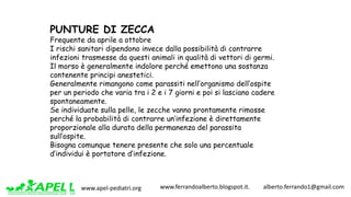 www.apel-pediatri.org www.ferrandoalberto.blogspot.it.									alberto.ferrando1@gmail.com
PUNTURE DI ZECCA
Frequente da aprile a ottobre
I rischi sanitari dipendono invece dalla possibilità di contrarre
infezioni trasmesse da questi animali in qualità di vettori di germi.
Il morso è generalmente indolore perché emettono una sostanza
contenente principi anestetici.
Generalmente rimangono come parassiti nell’organismo dell’ospite
per un periodo che varia tra i 2 e i 7 giorni e poi si lasciano cadere
spontaneamente.
Se individuate sulla pelle, le zecche vanno prontamente rimosse
perché la probabilità di contrarre un’infezione è direttamente
proporzionale alla durata della permanenza del parassita
sull’ospite.
Bisogna comunque tenere presente che solo una percentuale
d’individui è portatore d’infezione.
 