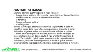 www.apel-pediatri.org www.ferrandoalberto.blogspot.it.									alberto.ferrando1@gmail.com
PUNTURE DI RAGNO
In Italia esistono quattro specie di ragni velenosi:
- il ragno bruno solitario (detto anche ragno violino per la caratteristica
macchia scura sul carapace a forma di un violino),
- la tarantola ,
- il ragno dal sacco giallo e
- la malmignatta.
Mentre il primo può essere anche mortale (soprattutto in bambini
piccoli), il morso della tarantola è meno pericoloso di quanto si pensi,
limitandosi in genere a dare una grossa lesione sulla parte colpita.
Il morso della malmignatta è indolore, mentre il morso del ragno dal
sacco giallo produce un dolore acuto di tipo urente (tipo puntura di
vespa). Tutti gli altri tipi di ragno, a cominciare dal ragno domestico,
sono innocui, anche se sono responsabili di molte di quelle punture
apparentemente inspiegabili che i bambini spesso presentano al risveglio.
 
