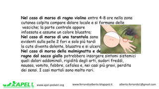 www.apel-pediatri.org www.ferrandoalberto.blogspot.it.									alberto.ferrando1@gmail.com
Nel caso di morso di ragno violino entro 4-8 ore nella zona
cutanea colpita compare dolore locale e si formano delle
vesciche; la parte centrale appare
infossata e assume un colore bluastro;
Nel caso di morso di una tarantola sono
evidenti sulla pelle 2 fori e solo più tardi
la cute diventa dolente, bluastra e si ulcera.
Nel caso di morso della malmignatta e del
ragno dal sacco giallo potrebbero insorgere sintomi sistemici
quali dolori addominali, rigidità degli arti, sudori freddi,
nausea, vomito, febbre, cefalea e, nei casi più gravi, perdita
dei sensi. I casi mortali sono molto rari.
 