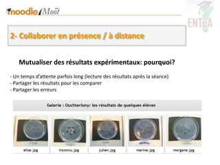 2- Collaborer en présence / à distance


    Mutualiser des résultats expérimentaux: pourquoi?
- Un temps d’attente parfois long (lecture des résultats après la séance)
- Partager les résultats pour les comparer
- Partager les erreurs
 