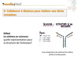 3- Collaborer à distance pour réaliser une tâche
complexe:




Débat
Le schéma en sciences:
quelle représentation pour
la structure de l’anticorps?


                               Une proposition de schéma d’un élève,
                                       jointe à la discussion.
 