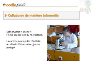 1- Collaborer de manière informelle



 L’observation « avant »:
 l’élève seul(e) face au microscope.

 La communication des résultats:
 un dessin d’observation, jamais
 partagé.
 