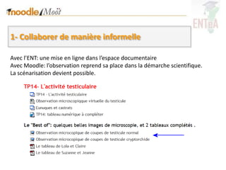 1- Collaborer de manière informelle

Avec l’ENT: une mise en ligne dans l’espace documentaire
Avec Moodle: l’observation reprend sa place dans la démarche scientifique.
La scénarisation devient possible.
 