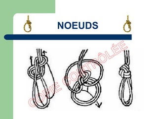 NOEUDS
 