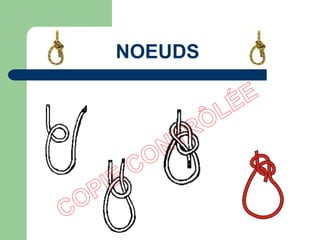 NOEUDS
 